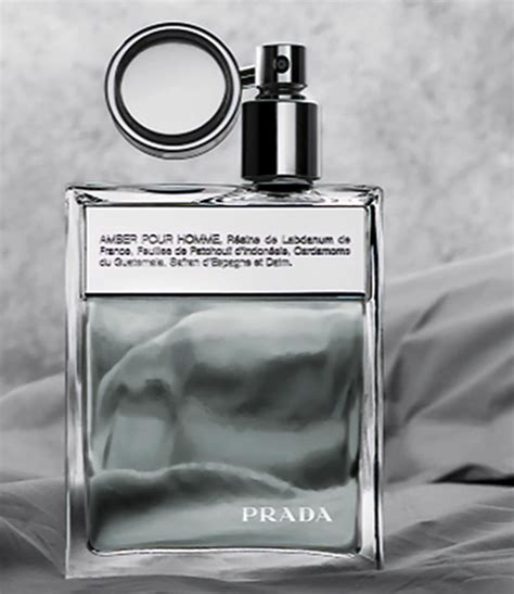 amper prada|amber pour homme Prada.